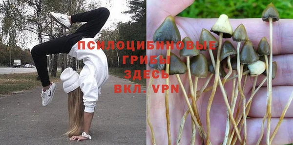 гидропоника Михайлов