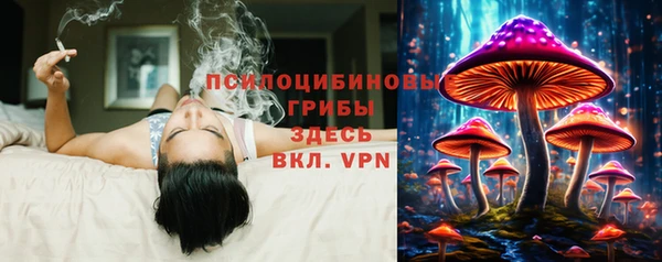 МДПВ Михайловка