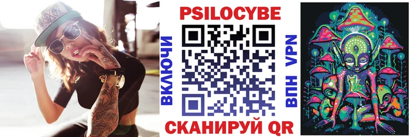 Псилоцибиновые грибы Cubensis  Купить закладки  Новодвинск 